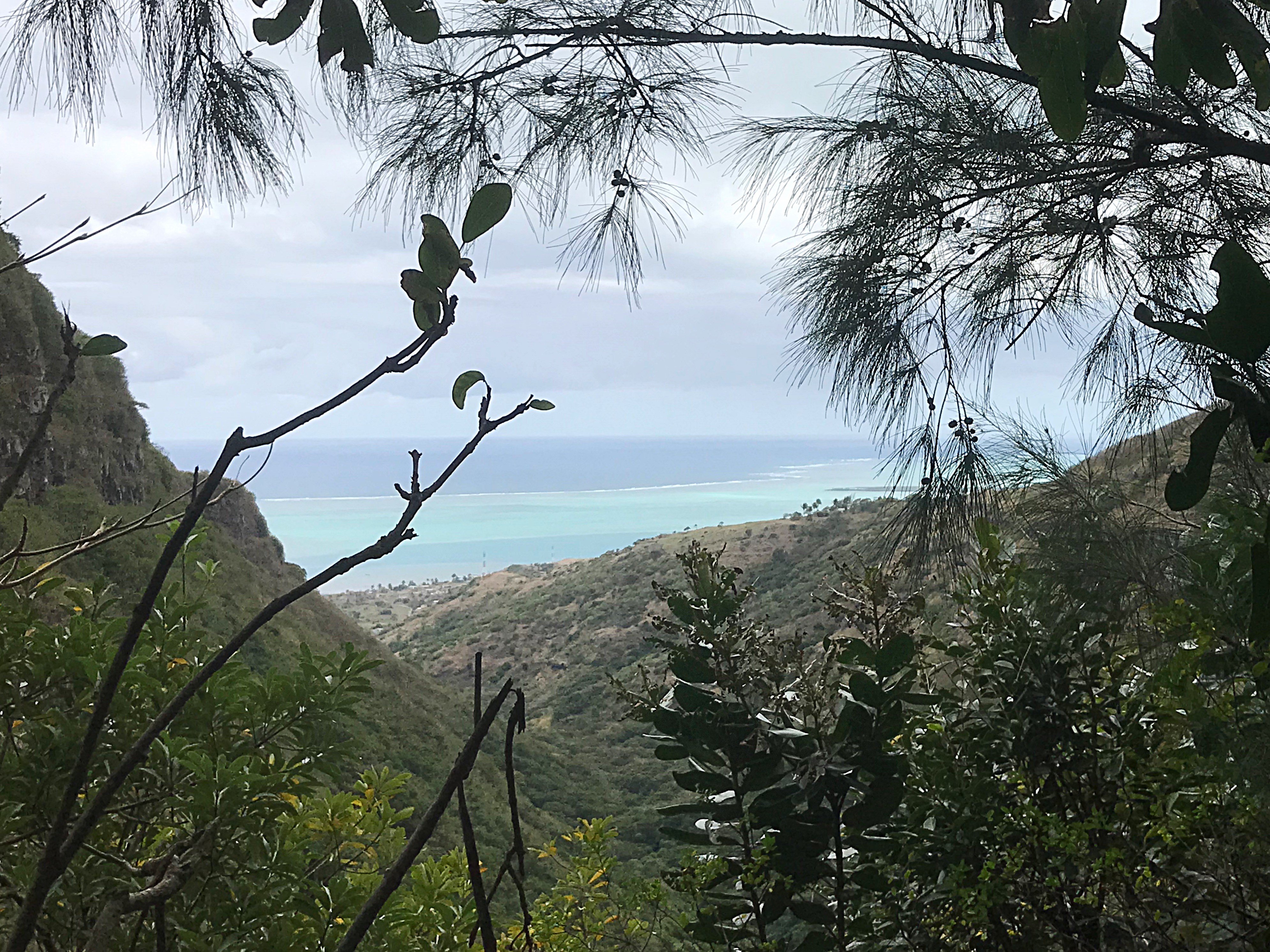 Vue sur mer