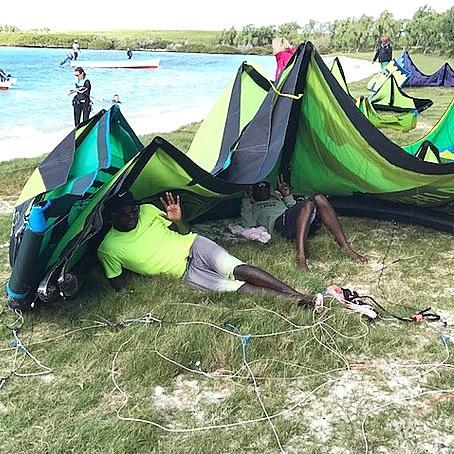 Sieste île aux chats