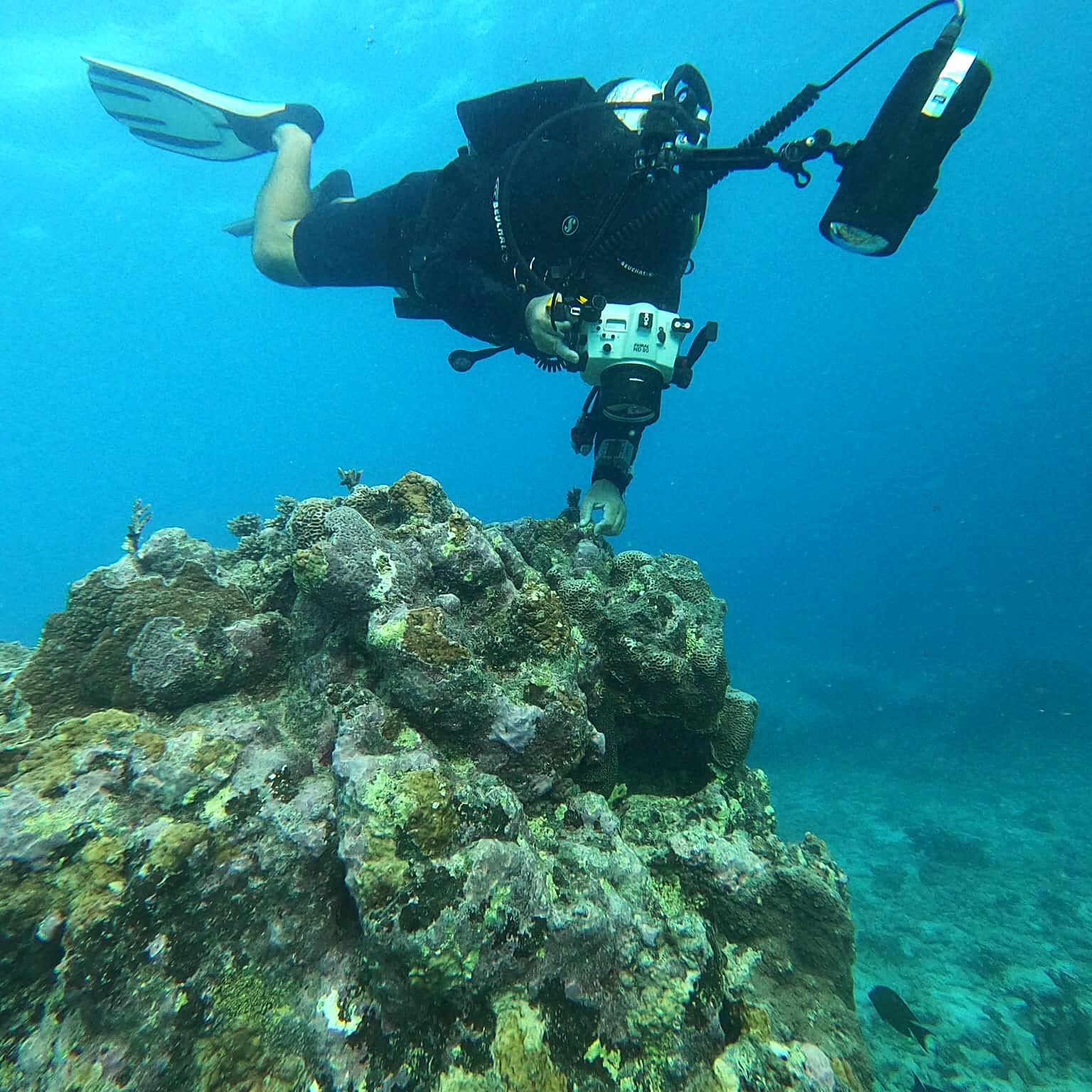 Bouba Diving